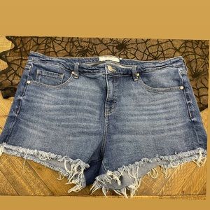 Torrid denim shorts